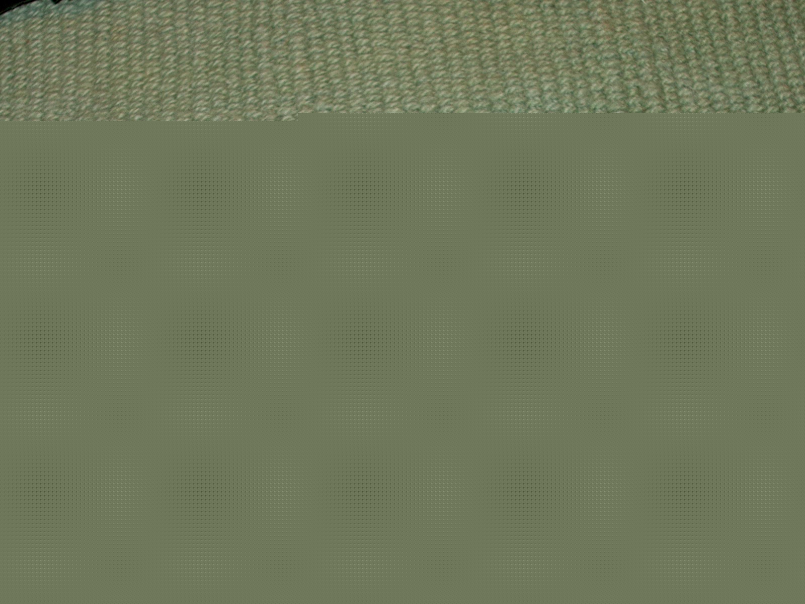 AMP4_bottom